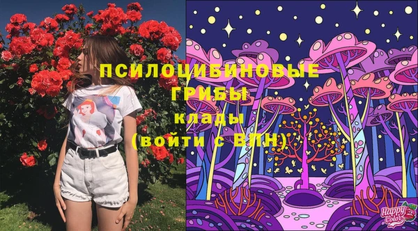 кокаин премиум Ельня