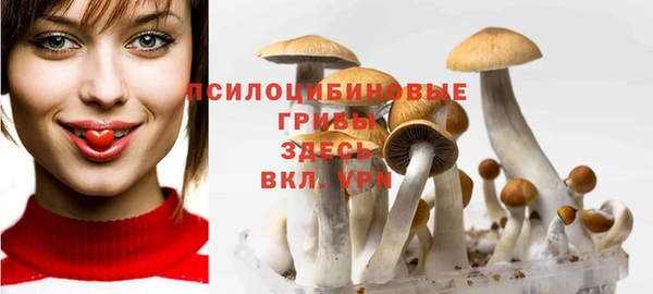 альфа пвп Дмитровск