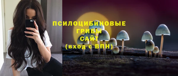 PSILOCYBIN Елизово