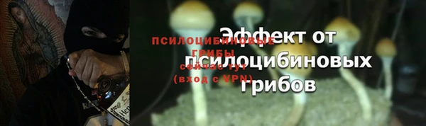 альфа пвп Дмитровск