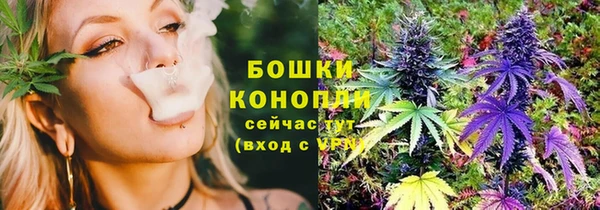 альфа пвп Дмитровск