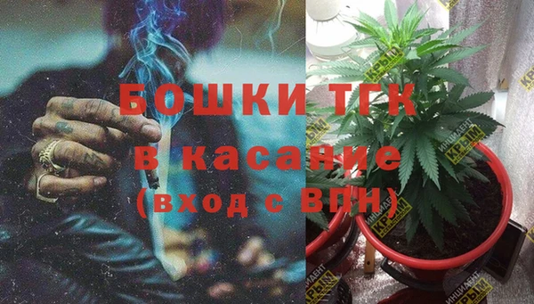 PSILOCYBIN Елизово