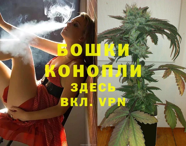 дживик Дмитров