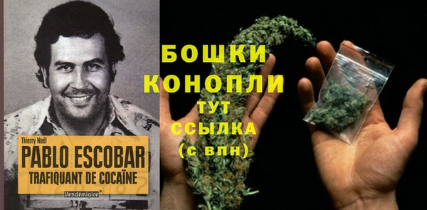 альфа пвп Дмитровск