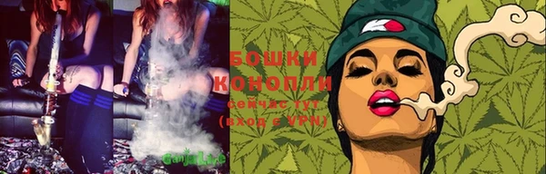 PSILOCYBIN Елизово